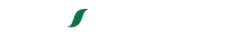 logo icon vivencia